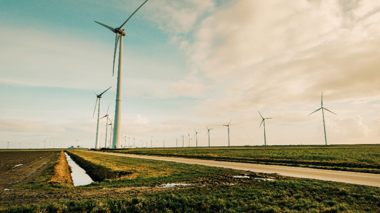 Planta solar fotovoltaica y aerogeneradores de energía renovable